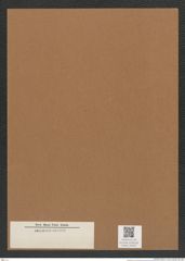 Diatomeae indet. Zeichnungen Sammlung Grunow Mappe 04502 (Herbarium_W_Grunow_drawings_Folder_04502)